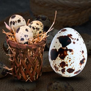 Farm Fresh Quail Eggs – Premium Protein Rich Speckled Eggs