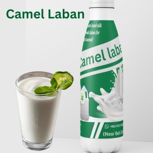 Best Quality Camal Laban in Kuwait